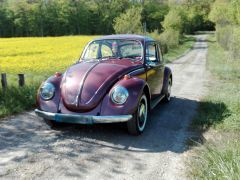 VOLKSWAGEN Coccinelle (Photo 1)