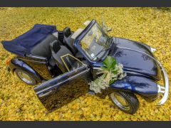 VOLKSWAGEN Coccinelle (Photo 1)