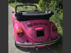 VOLKSWAGEN Coccinelle de 1974 en location pour mariage dans le Vaucluse