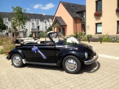 VOLKSWAGEN Coccinelle (Photo 2)