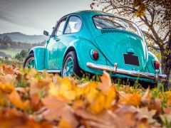 VOLKSWAGEN Coccinelle de 1976 en location pour mariage dans l'Ain