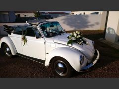 VOLKSWAGEN Coccinelle (Photo 1)