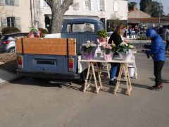 Louer une VOLKSWAGEN Combi T2 Bay Window de de 1976 (Photo 2)