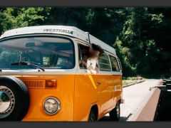 Louer une VOLKSWAGEN Combi T2 de de 1976 (Photo 4)