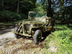 Louer une WILLYS Jeep de de 1943 (Photo 1)