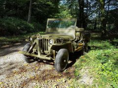 Louer une WILLYS Jeep de 1943 (Photo 1)