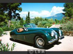 JAGUAR XK 120 (Photo 2)