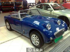 AUSTIN HEALEY Frogeye (Photo 1)