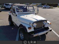 JEEP CJ 7  (Photo 3)