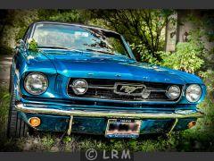 FORD Mustang (Photo 3)