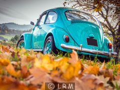 VOLKSWAGEN Coccinelle (Photo 4)