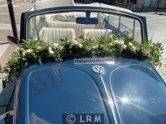 VOLKSWAGEN Coccinelle (Photo 4)
