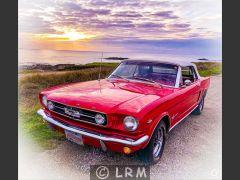 FORD Mustang V8 289 CI (Photo 4)