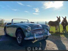 AUSTIN HEALEY 3000 BJ7  (Photo 1)