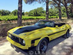 FORD Mustang Mach 1 (Photo 1)