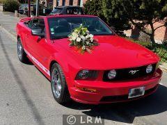 FORD Mustang 315 CV (Photo 1)