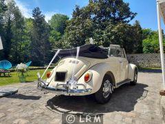 VOLKSWAGEN Coccinelle (Photo 3)