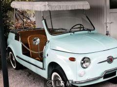 FIAT Jolly Giardiniera (Photo 1)