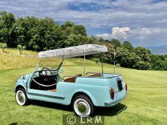 FIAT Jolly Giardiniera (Photo 2)