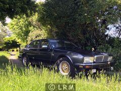 Daimler XJ 40 (Photo 2)