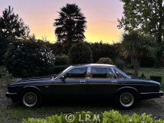 Daimler XJ 40 (Photo 4)