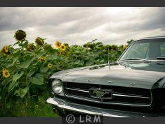 FORD Mustang (Photo 2)